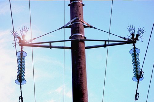 Все о приборах птицезащиты