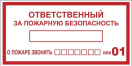 Знак "Ответственный за пожарную безопасность" 150х300мм пластик EKF pn-f-20 купить по низкой цене