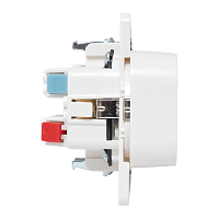 Розетка 2-м СП Стокгольм 16А IP20 с заземл. защ. шторки механизм бел. PROxima EKF EYR16-128-10 – купить по низкой цене. Низковольтное оборудование