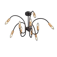 Люстра 10xE14 макс. 40Вт Vitaluce V3026-1/10PL